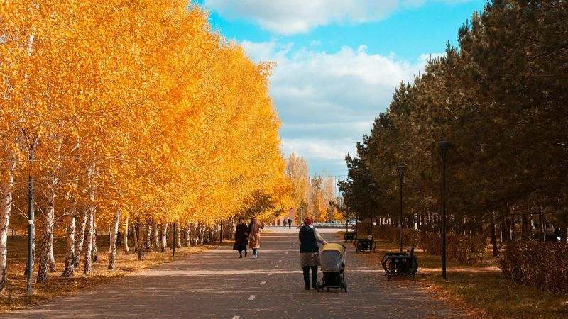 Ыңғайлы аяқ киім киген адам саябақта жайбарақат жүріп, тұрақты орташа жүру арқылы бүйрек саулығын қолдап келеді