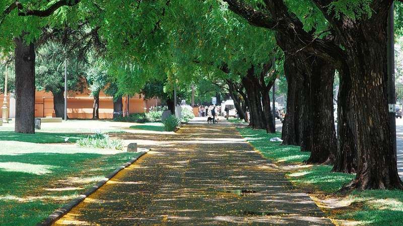 Екі адам тыныш аллеяда қатар жүріп, асықпай әңгімелесіп келеді