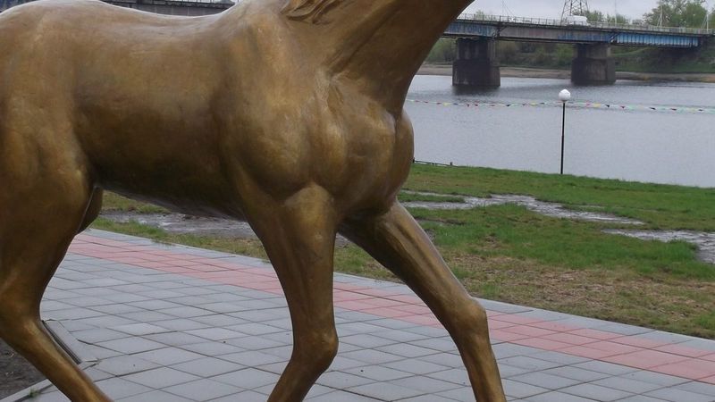 Қостанайда жел мен көктайғақ кезінде Тобылдың қар басқан жағалауымен қысқы серуен